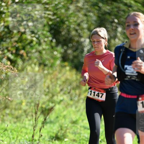 27.09.2026 - 35. Volkslauf durch das schöne Alstertal Dr. Thomas Lammeyer http://msf.ph/oto/10578396 27.09.2026 12:00:23 Laufen 1147 meine-sportfotos.de