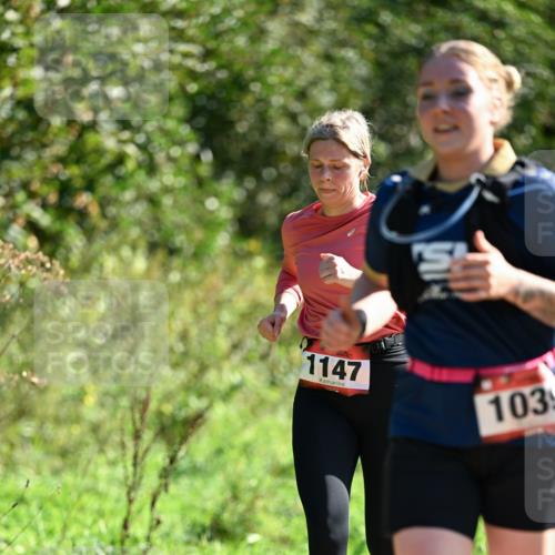 27.09.2026 - 35. Volkslauf durch das schöne Alstertal Dr. Thomas Lammeyer http://msf.ph/oto/10578398 27.09.2026 12:00:23 Laufen 1147, 103 meine-sportfotos.de