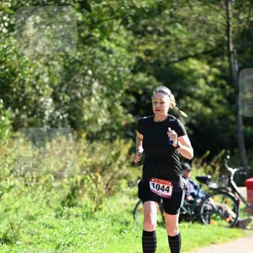 27.09.2026 - 35. Volkslauf durch das schöne Alstertal Dr. Thomas Lammeyer http://msf.ph/oto/10578441 27.09.2026 12:00:53 Laufen 1044 meine-sportfotos.de