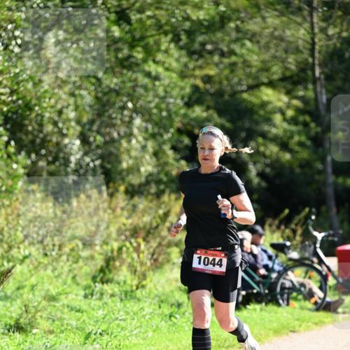 27.09.2026 - 35. Volkslauf durch das schöne Alstertal Dr. Thomas Lammeyer http://msf.ph/oto/10578443 27.09.2026 12:00:53 Laufen 1044 meine-sportfotos.de