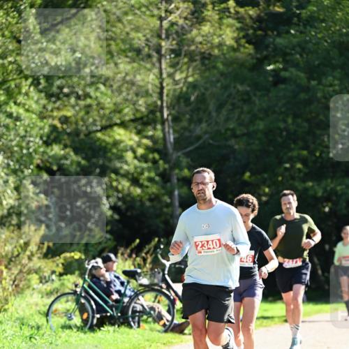 27.09.2026 - 35. Volkslauf durch das schöne Alstertal Dr. Thomas Lammeyer http://msf.ph/oto/10578458 27.09.2026 12:00:57 Laufen 2340, 46 meine-sportfotos.de