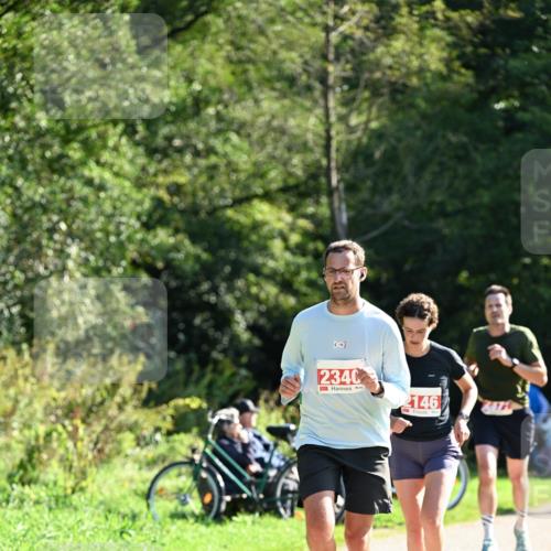 27.09.2026 - 35. Volkslauf durch das schöne Alstertal Dr. Thomas Lammeyer http://msf.ph/oto/10578462 27.09.2026 12:00:57 Laufen 2340, 2146, 6474 meine-sportfotos.de