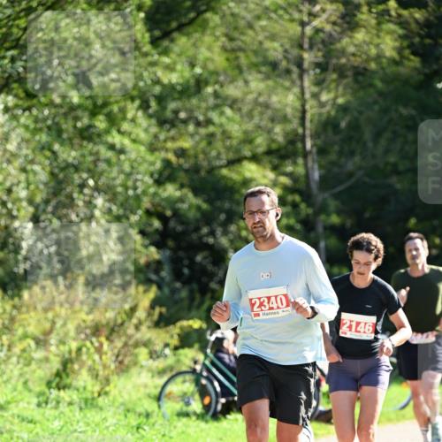 27.09.2026 - 35. Volkslauf durch das schöne Alstertal Dr. Thomas Lammeyer http://msf.ph/oto/10578465 27.09.2026 12:00:58 Laufen 31, 2340, 2146 meine-sportfotos.de