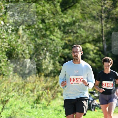 27.09.2026 - 35. Volkslauf durch das schöne Alstertal Dr. Thomas Lammeyer http://msf.ph/oto/10578469 27.09.2026 12:00:58 Laufen 341, 2340, 2146 meine-sportfotos.de