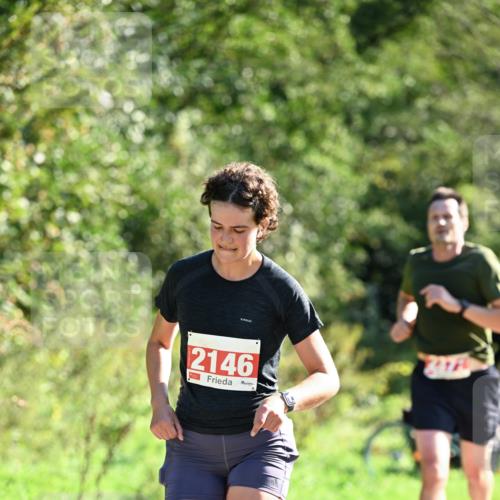 27.09.2026 - 35. Volkslauf durch das schöne Alstertal Dr. Thomas Lammeyer http://msf.ph/oto/10578477 27.09.2026 12:01:00 Laufen 2146 meine-sportfotos.de