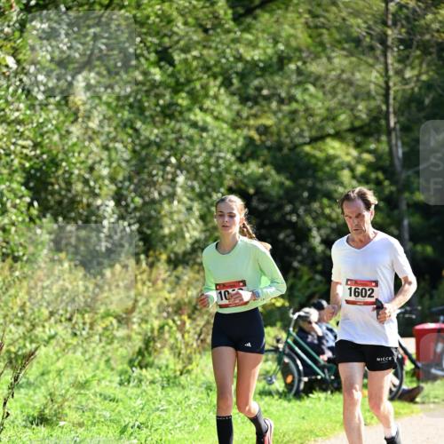 27.09.2026 - 35. Volkslauf durch das schöne Alstertal Dr. Thomas Lammeyer http://msf.ph/oto/10578492 27.09.2026 12:01:04 Laufen 10, 1602 meine-sportfotos.de