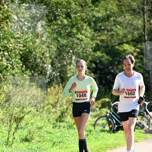 27.09.2026 - 35. Volkslauf durch das schöne Alstertal Dr. Thomas Lammeyer http://msf.ph/oto/10578494 27.09.2026 12:01:04 Laufen 1048, 1602 meine-sportfotos.de