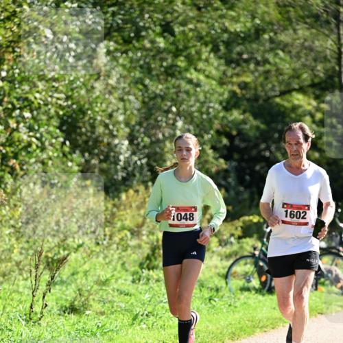 27.09.2026 - 35. Volkslauf durch das schöne Alstertal Dr. Thomas Lammeyer http://msf.ph/oto/10578496 27.09.2026 12:01:04 Laufen 1048, 1602 meine-sportfotos.de