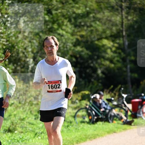 27.09.2026 - 35. Volkslauf durch das schöne Alstertal Dr. Thomas Lammeyer http://msf.ph/oto/10578504 27.09.2026 12:01:06 Laufen 1602 meine-sportfotos.de