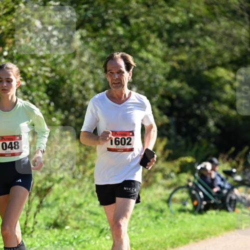 27.09.2026 - 35. Volkslauf durch das schöne Alstertal Dr. Thomas Lammeyer http://msf.ph/oto/10578505 27.09.2026 12:01:06 Laufen 1048, 1602 meine-sportfotos.de