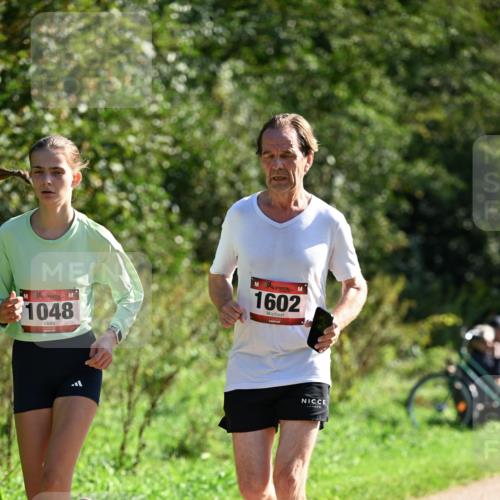 27.09.2026 - 35. Volkslauf durch das schöne Alstertal Dr. Thomas Lammeyer http://msf.ph/oto/10578507 27.09.2026 12:01:06 Laufen 1048, 1602 meine-sportfotos.de