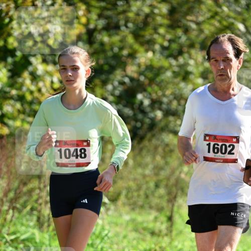 27.09.2026 - 35. Volkslauf durch das schöne Alstertal Dr. Thomas Lammeyer http://msf.ph/oto/10578514 27.09.2026 12:01:07 Laufen 1048, 1602 meine-sportfotos.de