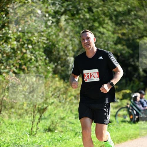 27.09.2026 - 35. Volkslauf durch das schöne Alstertal Dr. Thomas Lammeyer http://msf.ph/oto/10578560 27.09.2026 12:01:35 Laufen 2126 meine-sportfotos.de