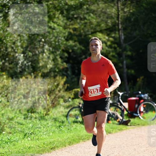 27.09.2026 - 35. Volkslauf durch das schöne Alstertal Dr. Thomas Lammeyer http://msf.ph/oto/10578565 27.09.2026 12:01:38 Laufen 2157 meine-sportfotos.de
