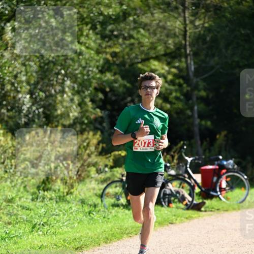 27.09.2026 - 35. Volkslauf durch das schöne Alstertal Dr. Thomas Lammeyer http://msf.ph/oto/10578580 27.09.2026 12:01:43 Laufen 2073 meine-sportfotos.de
