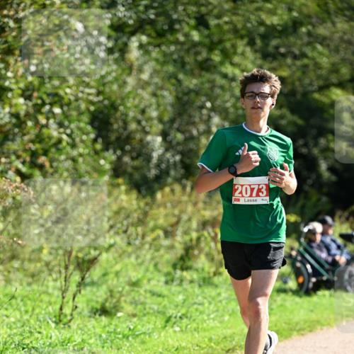 27.09.2026 - 35. Volkslauf durch das schöne Alstertal Dr. Thomas Lammeyer http://msf.ph/oto/10578586 27.09.2026 12:01:44 Laufen 1920, 2073 meine-sportfotos.de