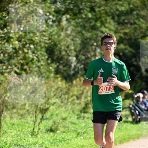 27.09.2026 - 35. Volkslauf durch das schöne Alstertal Dr. Thomas Lammeyer http://msf.ph/oto/10578587 27.09.2026 12:01:44 Laufen 2073 meine-sportfotos.de