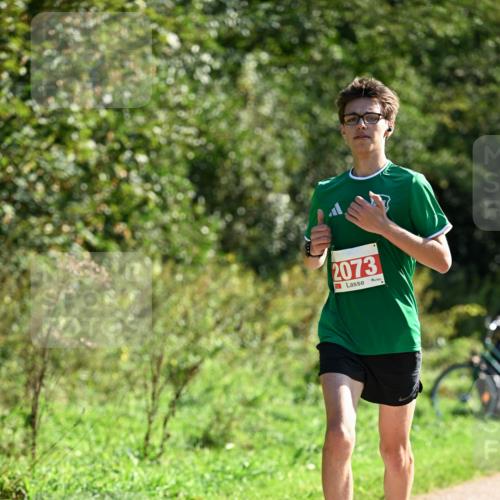 27.09.2026 - 35. Volkslauf durch das schöne Alstertal Dr. Thomas Lammeyer http://msf.ph/oto/10578590 27.09.2026 12:01:44 Laufen 2073 meine-sportfotos.de