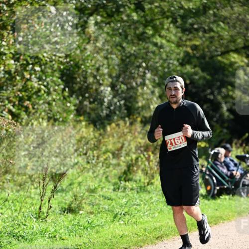 27.09.2026 - 35. Volkslauf durch das schöne Alstertal Dr. Thomas Lammeyer http://msf.ph/oto/10578598 27.09.2026 12:01:52 Laufen 2160 meine-sportfotos.de