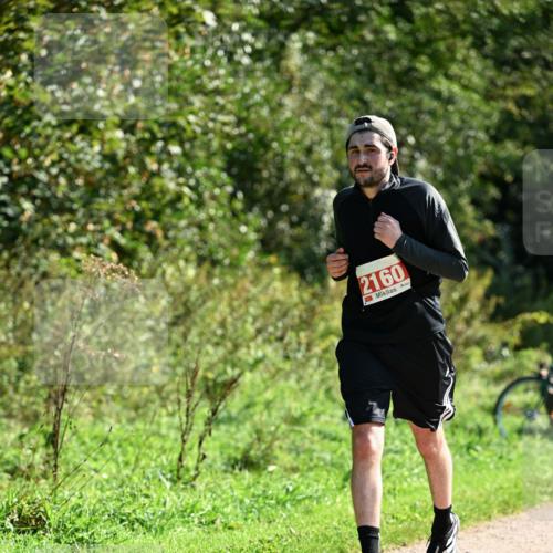 27.09.2026 - 35. Volkslauf durch das schöne Alstertal Dr. Thomas Lammeyer http://msf.ph/oto/10578604 27.09.2026 12:01:52 Laufen 2160 meine-sportfotos.de