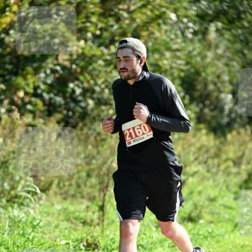 27.09.2026 - 35. Volkslauf durch das schöne Alstertal Dr. Thomas Lammeyer http://msf.ph/oto/10578612 27.09.2026 12:01:53 Laufen 2160 meine-sportfotos.de