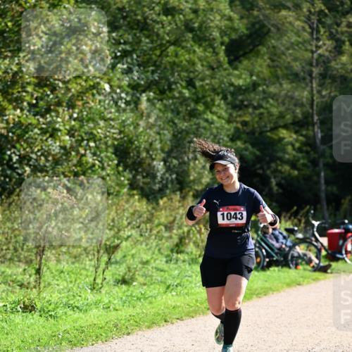 27.09.2026 - 35. Volkslauf durch das schöne Alstertal Dr. Thomas Lammeyer http://msf.ph/oto/10578659 27.09.2026 12:02:26 Laufen 1043, 5, 31 meine-sportfotos.de