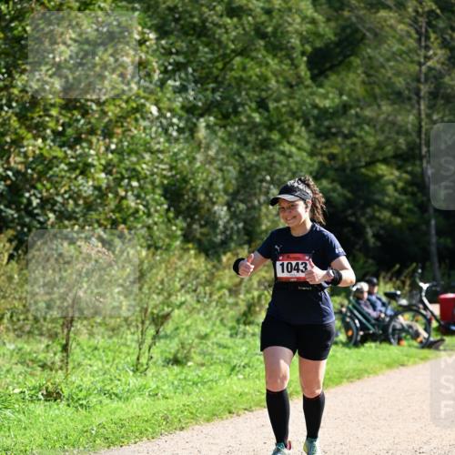 27.09.2026 - 35. Volkslauf durch das schöne Alstertal Dr. Thomas Lammeyer http://msf.ph/oto/10578660 27.09.2026 12:02:26 Laufen 1043 meine-sportfotos.de