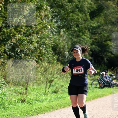 27.09.2026 - 35. Volkslauf durch das schöne Alstertal Dr. Thomas Lammeyer http://msf.ph/oto/10578662 27.09.2026 12:02:27 Laufen 1043 meine-sportfotos.de