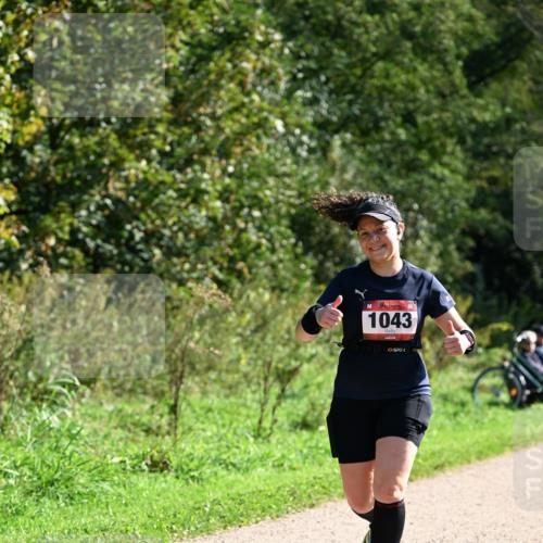 27.09.2026 - 35. Volkslauf durch das schöne Alstertal Dr. Thomas Lammeyer http://msf.ph/oto/10578665 27.09.2026 12:02:27 Laufen 1043 meine-sportfotos.de