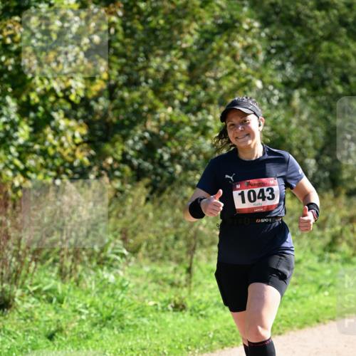 27.09.2026 - 35. Volkslauf durch das schöne Alstertal Dr. Thomas Lammeyer http://msf.ph/oto/10578670 27.09.2026 12:02:27 Laufen 1043 meine-sportfotos.de
