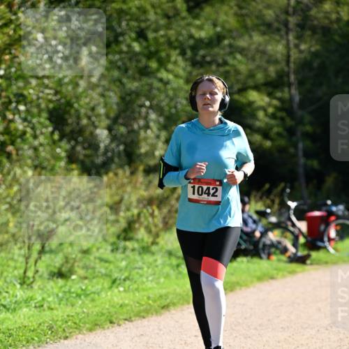27.09.2026 - 35. Volkslauf durch das schöne Alstertal Dr. Thomas Lammeyer http://msf.ph/oto/10578694 27.09.2026 12:02:38 Laufen 1042 meine-sportfotos.de