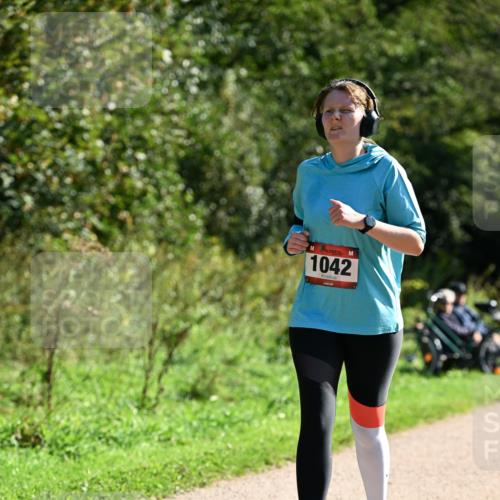 27.09.2026 - 35. Volkslauf durch das schöne Alstertal Dr. Thomas Lammeyer http://msf.ph/oto/10578698 27.09.2026 12:02:38 Laufen 1042 meine-sportfotos.de