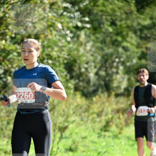 27.09.2026 - 35. Volkslauf durch das schöne Alstertal Dr. Thomas Lammeyer http://msf.ph/oto/10578724 27.09.2026 12:03:15 Laufen 2260 meine-sportfotos.de