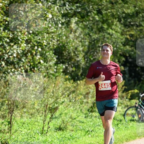27.09.2026 - 35. Volkslauf durch das schöne Alstertal Dr. Thomas Lammeyer http://msf.ph/oto/10578743 27.09.2026 12:03:23 Laufen 2445 meine-sportfotos.de