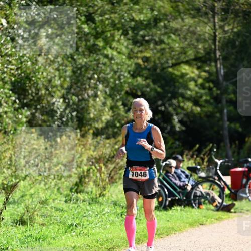 27.09.2026 - 35. Volkslauf durch das schöne Alstertal Dr. Thomas Lammeyer http://msf.ph/oto/10578769 27.09.2026 12:03:30 Laufen 1046 meine-sportfotos.de