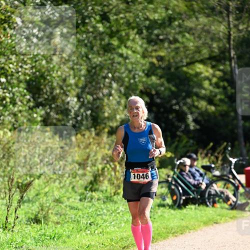27.09.2026 - 35. Volkslauf durch das schöne Alstertal Dr. Thomas Lammeyer http://msf.ph/oto/10578772 27.09.2026 12:03:31 Laufen 1046 meine-sportfotos.de