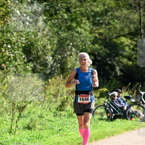 27.09.2026 - 35. Volkslauf durch das schöne Alstertal Dr. Thomas Lammeyer http://msf.ph/oto/10578773 27.09.2026 12:03:31 Laufen 1046 meine-sportfotos.de