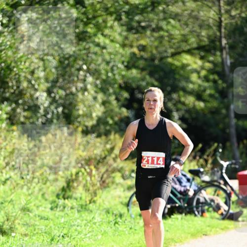 27.09.2026 - 35. Volkslauf durch das schöne Alstertal Dr. Thomas Lammeyer http://msf.ph/oto/10578789 27.09.2026 12:03:39 Laufen 2114 meine-sportfotos.de