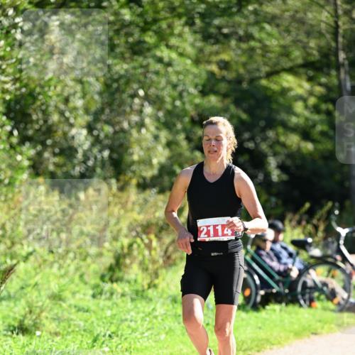 27.09.2026 - 35. Volkslauf durch das schöne Alstertal Dr. Thomas Lammeyer http://msf.ph/oto/10578791 27.09.2026 12:03:40 Laufen 2114 meine-sportfotos.de