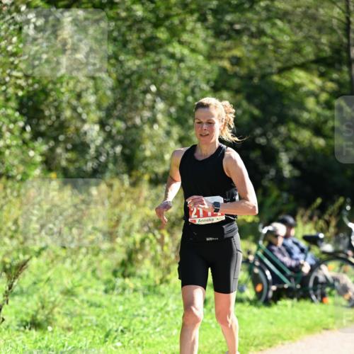 27.09.2026 - 35. Volkslauf durch das schöne Alstertal Dr. Thomas Lammeyer http://msf.ph/oto/10578792 27.09.2026 12:03:40 Laufen 27 meine-sportfotos.de