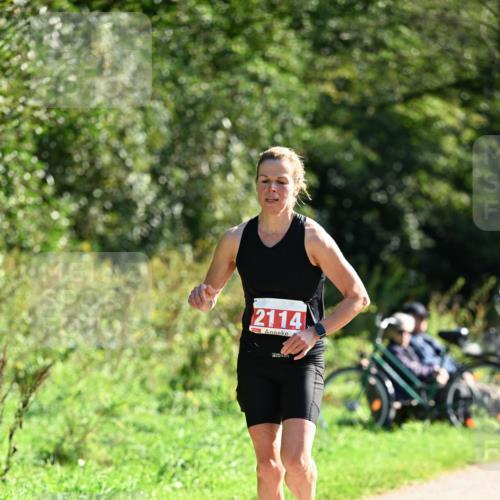 27.09.2026 - 35. Volkslauf durch das schöne Alstertal Dr. Thomas Lammeyer http://msf.ph/oto/10578794 27.09.2026 12:03:40 Laufen 2114 meine-sportfotos.de