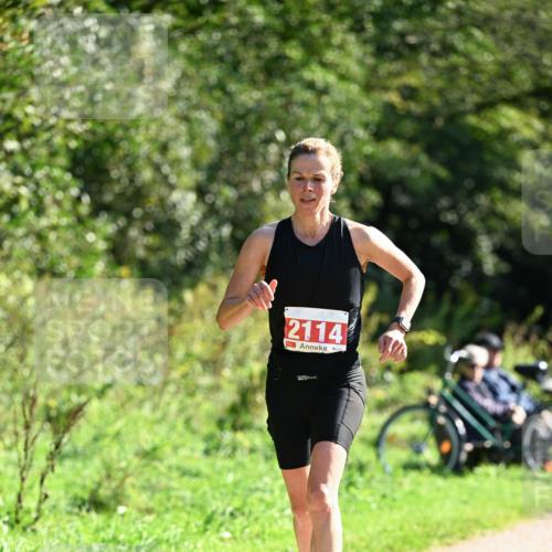 27.09.2026 - 35. Volkslauf durch das schöne Alstertal Dr. Thomas Lammeyer http://msf.ph/oto/10578795 27.09.2026 12:03:40 Laufen 2114 meine-sportfotos.de