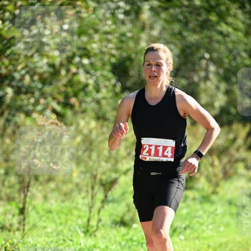 27.09.2026 - 35. Volkslauf durch das schöne Alstertal Dr. Thomas Lammeyer http://msf.ph/oto/10578800 27.09.2026 12:03:41 Laufen 2114 meine-sportfotos.de