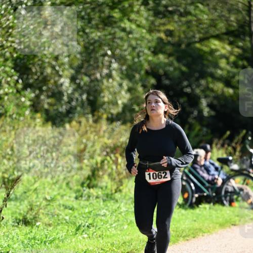 27.09.2026 - 35. Volkslauf durch das schöne Alstertal Dr. Thomas Lammeyer http://msf.ph/oto/10578801 27.09.2026 12:03:44 Laufen 1062 meine-sportfotos.de