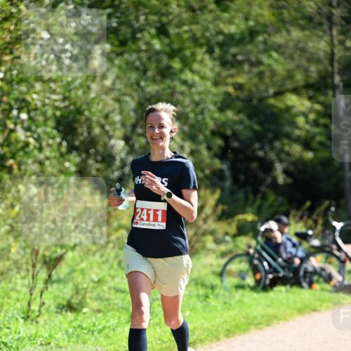 27.09.2026 - 35. Volkslauf durch das schöne Alstertal Dr. Thomas Lammeyer http://msf.ph/oto/10578875 27.09.2026 12:04:30 Laufen 2411 meine-sportfotos.de