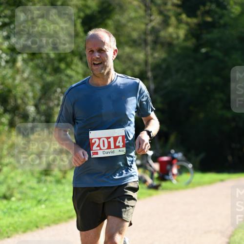 27.09.2026 - 35. Volkslauf durch das schöne Alstertal Dr. Thomas Lammeyer http://msf.ph/oto/10578879 27.09.2026 12:04:32 Laufen 2014 meine-sportfotos.de