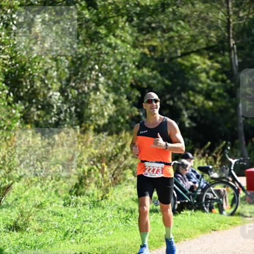 27.09.2026 - 35. Volkslauf durch das schöne Alstertal Dr. Thomas Lammeyer http://msf.ph/oto/10578881 27.09.2026 12:04:37 Laufen 2273 meine-sportfotos.de