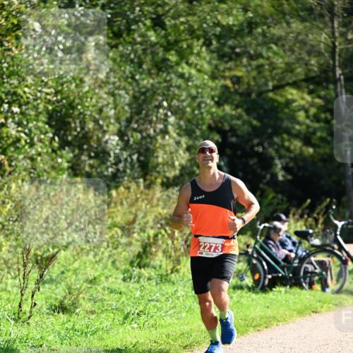 27.09.2026 - 35. Volkslauf durch das schöne Alstertal Dr. Thomas Lammeyer http://msf.ph/oto/10578884 27.09.2026 12:04:38 Laufen 2273 meine-sportfotos.de