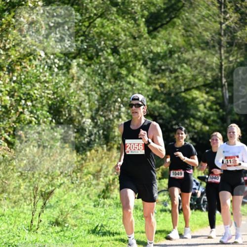 27.09.2026 - 35. Volkslauf durch das schöne Alstertal Dr. Thomas Lammeyer http://msf.ph/oto/10578896 27.09.2026 12:04:42 Laufen 2056, 1049, 1040 meine-sportfotos.de