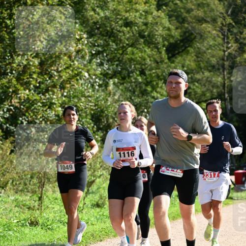 27.09.2026 - 35. Volkslauf durch das schöne Alstertal Dr. Thomas Lammeyer http://msf.ph/oto/10578906 27.09.2026 12:04:45 Laufen 1049, 1116, 2317 meine-sportfotos.de